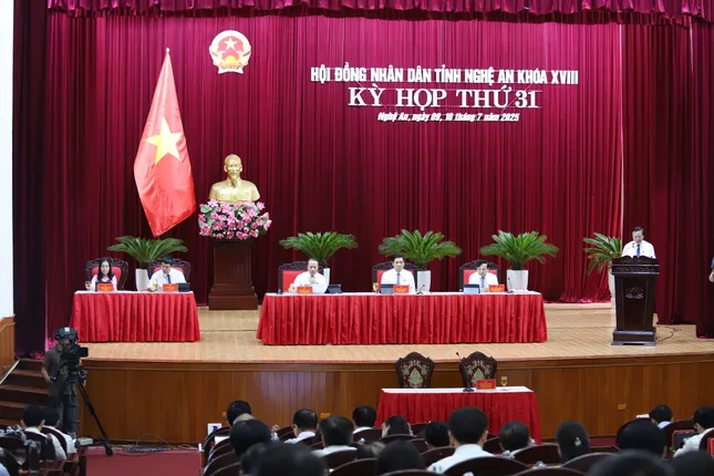 'Nóng' hàng giả, thực phẩm bẩn tại kỳ họp HĐND tỉnh ảnh 1