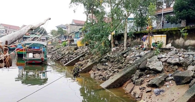 Tuyến đê sụt lún, uy hiếp hàng chục hộ dân ảnh 1