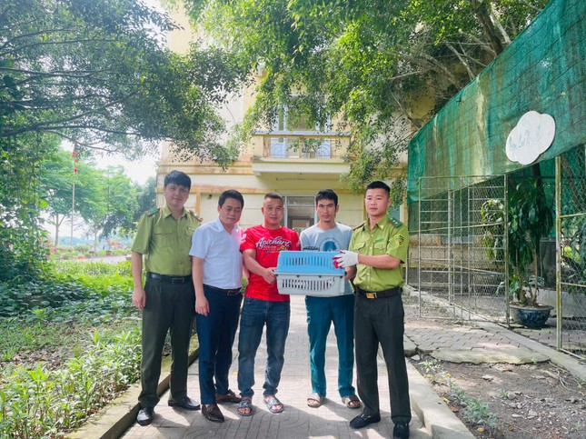 Trăn gấm dài hơn 1,5m &apos;đột kích&apos; trang trại ở Hà Tĩnh nuốt chửng 10 con gà ảnh 1