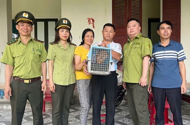 Phát hiện động vật quý hiếm trong vườn nhà dân ảnh 1