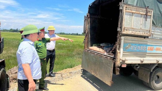 Phát hiện hơn 1 tấn sản phẩm động vật đang phân hủy trên xe tải ảnh 1