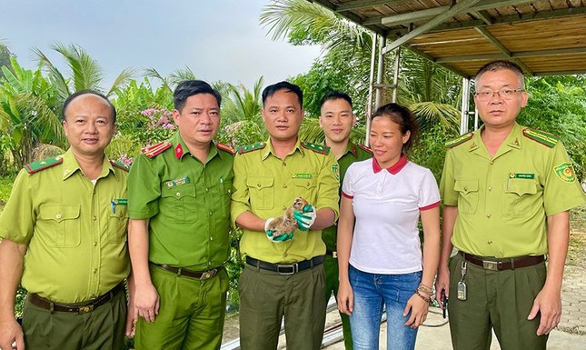 Động vật quý hiếm bất ngờ xuất hiện trong vườn nhà dân ảnh 1