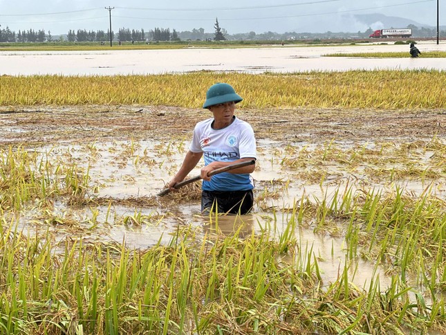 Lũ đến bất ngờ vào mùa hè: &apos;Chúng tôi mất trắng… rồi&apos; ảnh 5