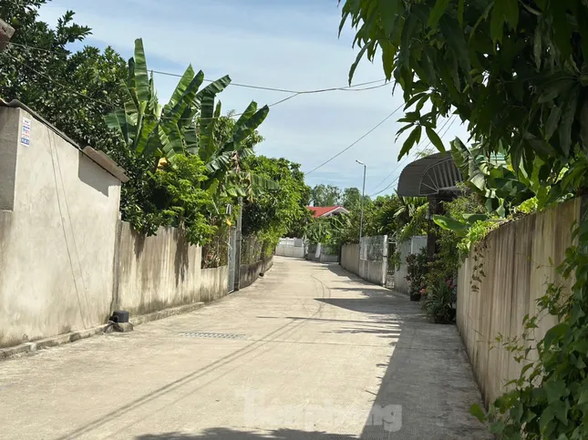 Một xóm gần 10 người mắc ung thư, dân sống trong lo lắng ảnh 1