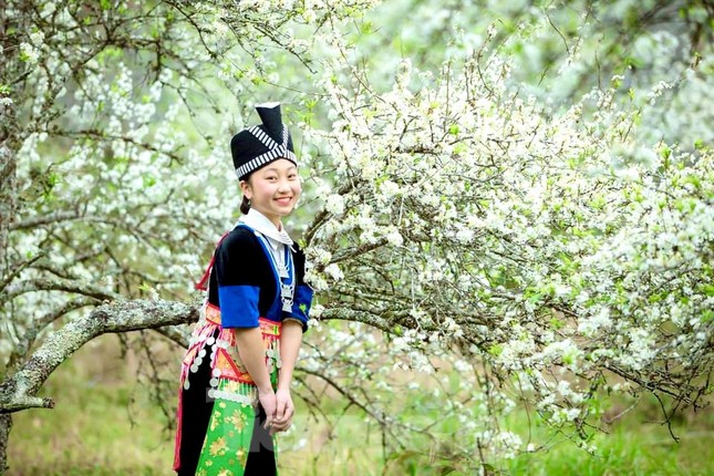Thiếu nữ khoe sắc bên hoa mận nở trắng muốt nơi cổng trời đẹp như tranh ảnh 3