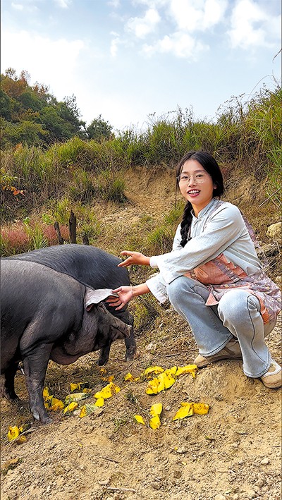 Cô gái bỏ việc văn phòng về quê nuôi lợn ảnh 1