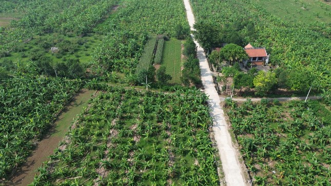 Hà Nội đề xuất cho xây công trình tạm trên đất bãi ven sông ảnh 1