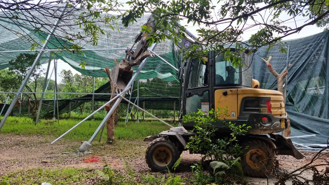 Hà Nội: Đồng loạt xử lý vi phạm về đất đai, trật tự xây dựng trước ngày sáp nhập ảnh 1