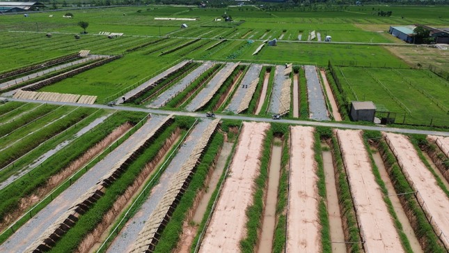 Hà Nội: Nhiều dự án cụm công nghiệp làng nghề vướng mặt bằng ảnh 8