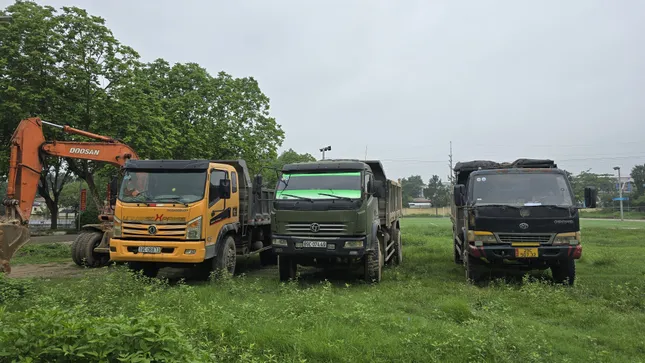 Luật sư nói về vụ hủy hoại tài sản, khai thác đất trái phép trong đêm ở Hà Nội ảnh 1