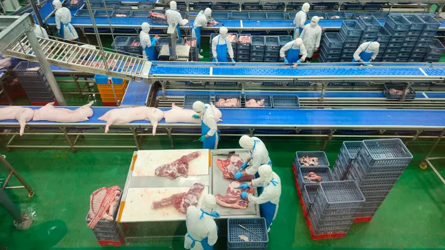 Hà Nội: Liên ngành đột xuất kiểm tra Công ty C.P trong đêm ảnh 2