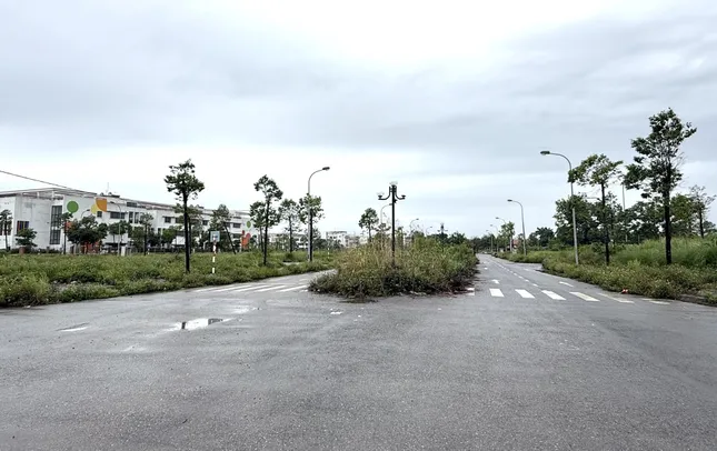 Hà Nội: Cử tri kiến nghị sớm bàn giao đất dịch vụ ảnh 2