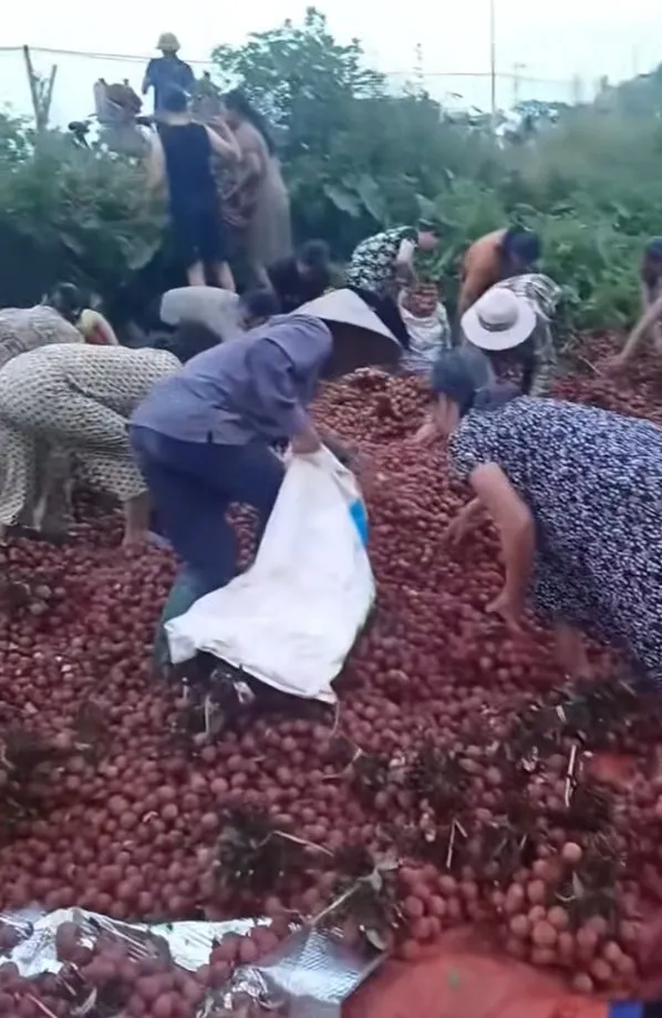 Hà Nội: Thực hư thông tin tranh nhau 'hôi vải' khi xe tải bị tai nạn giao thông ảnh 1