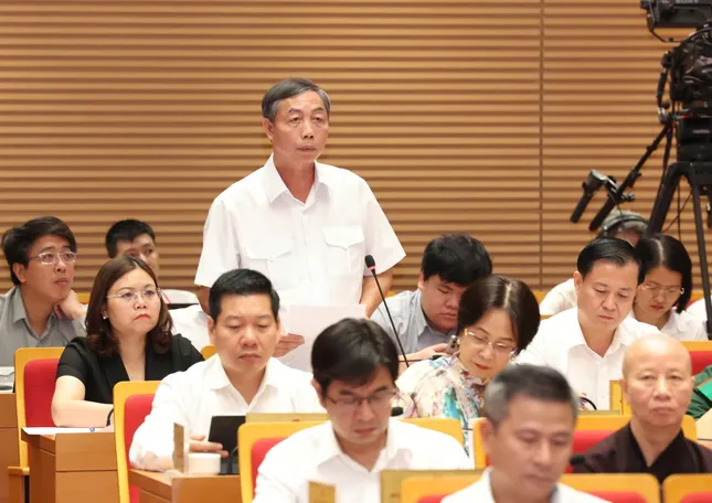 Hà Nội: Lợn chưa đóng dấu kiểm dịch vẫn đưa ra thị trường ảnh 1