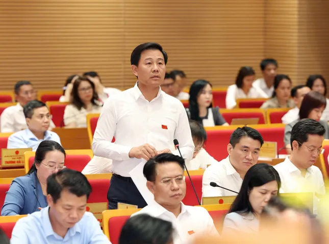 Lãnh đạo Sở Y tế Hà Nội nhận trách nhiệm về sữa giả, thực phẩm dinh dưỡng giả ảnh 1