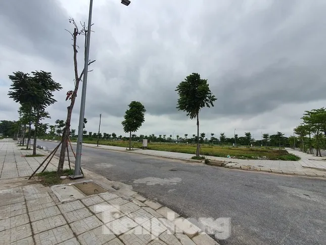 Bắc Ninh lên tiếng về lùm xùm 'bán nhà trên giấy' tại dự án Vườn Sen ảnh 2