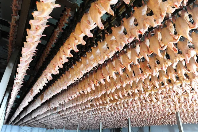 Tiếp tục kiểm tra nhà máy giết mổ của Công ty C.P Việt Nam tại Hà Nội ảnh 1