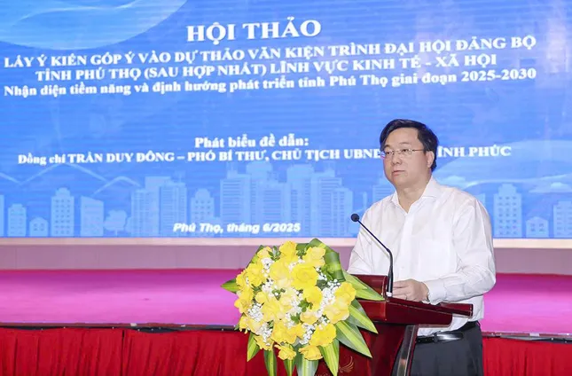 Vĩnh Phúc sẽ là trung tâm công nghiệp của tỉnh Phú Thọ sau hợp nhất ảnh 2
