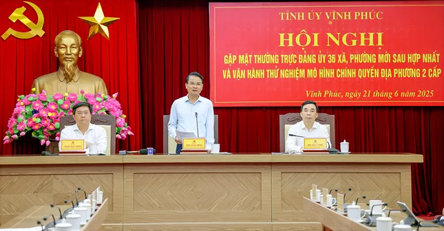 Vĩnh Phúc vận hành thử nghiệm mô hình chính quyền địa phương 2 cấp ảnh 1