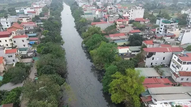 Hà Nội chỉ đạo xem xét xử lý hình sự hành vi xả thải ra môi trường ảnh 1