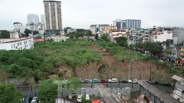 Chủ tịch Hà Nội yêu cầu tăng cường thanh tra, điều tra, xử lý các vụ việc lãng phí ảnh 1