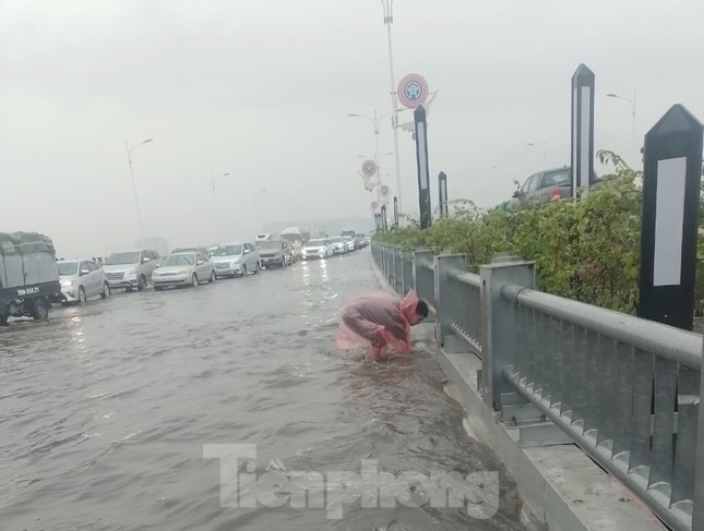 Cây xanh trên cầu Vĩnh Tuy 2 chết khô ảnh 5