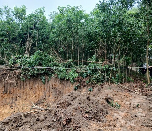 Hà Nội: 'Đất tặc' ngang nhiên phá hoại cây trồng của người dân, xúc trộm hơn 500m3 đất ảnh 1