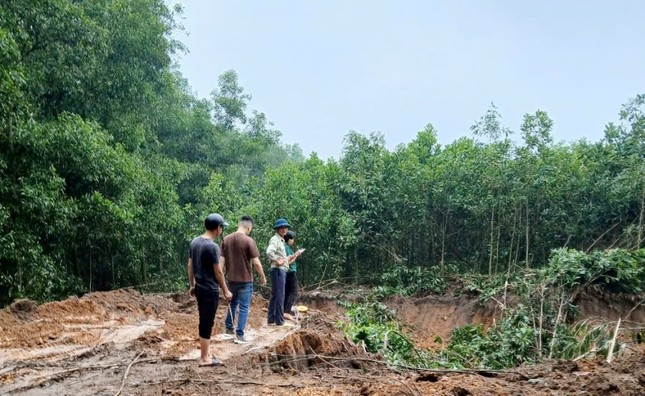Hà Nội: 'Đất tặc' ngang nhiên phá hoại cây trồng của người dân, xúc trộm hơn 500m3 đất ảnh 2