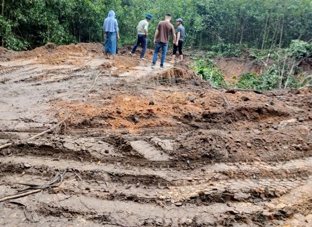 Hà Nội: 'Đất tặc' ngang nhiên phá hoại cây trồng của người dân, xúc trộm hơn 500m3 đất ảnh 6
