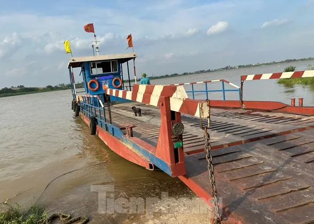 Nhiều bến cảng, bến đò chở khách qua sông Hồng Hà Nội hết phép ảnh 2