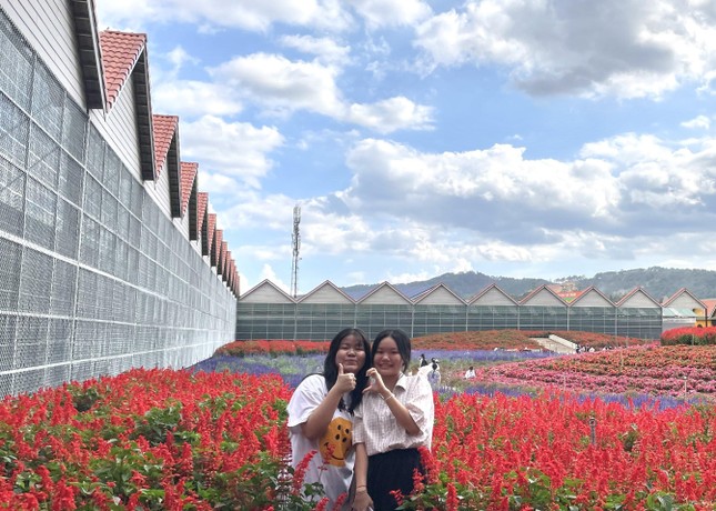 Khởi nghiệp từ những sticker: Những cô chủ nhỏ đa tài ảnh 4