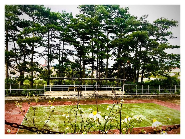 Đẹp mê hồn bộ ảnh về trường ĐH Đà Lạt của chàng Bí thư Đoàn trường ảnh 12