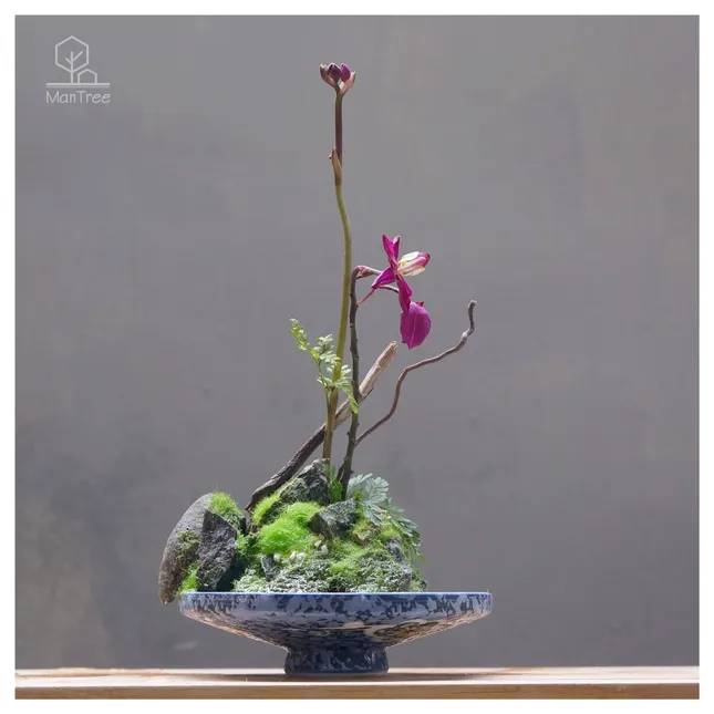 Bạn trẻ sáng tạo kinh doanh hoa kiểng Tết ảnh 3