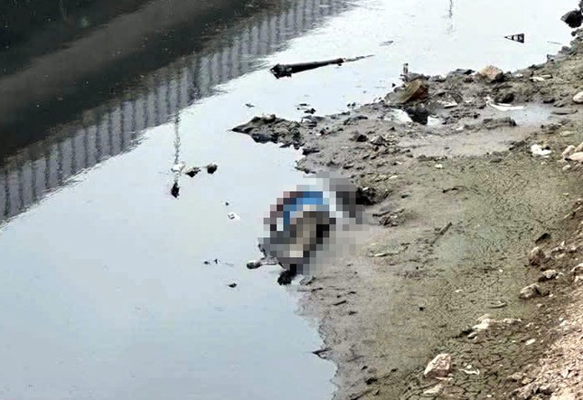 Phát hiện thi thể người đàn ông trên sông Tô Lịch ảnh 1
