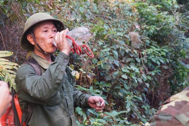 Biển lửa cháy rừng chưa ngớt, Hà Tĩnh sẵn sàng di dân trong đêm nay ảnh 10