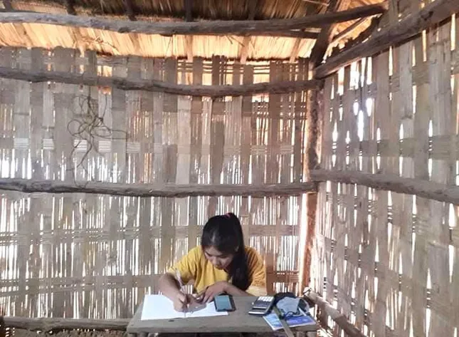 Học sinh vùng cao Việt Bắc kê cuốc ngồi giữa nương ngô học trực tuyến ảnh 6