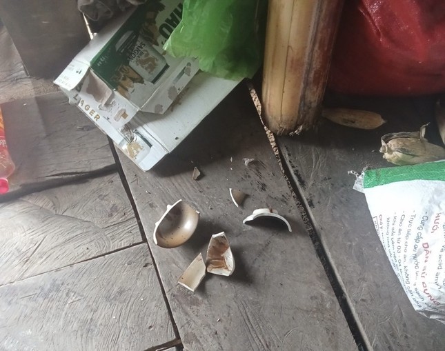 Dùng AI truy tìm nguyên nhân động đất kích thích tại Việt Nam ảnh 2
