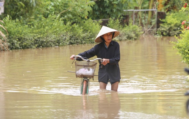 Mưa lớn tiếp tục ở Nghệ An đến Quảng Bình ảnh 1