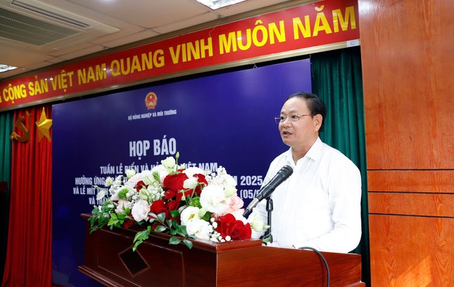 Nhiều hoạt động bảo vệ môi trường trong Tuần lễ Biển và Hải đảo Việt Nam ảnh 1