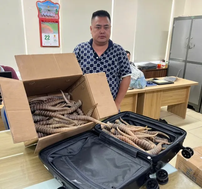 Buôn bán sừng linh dương, hai người bị phạt hơn 4 năm tù ảnh 2