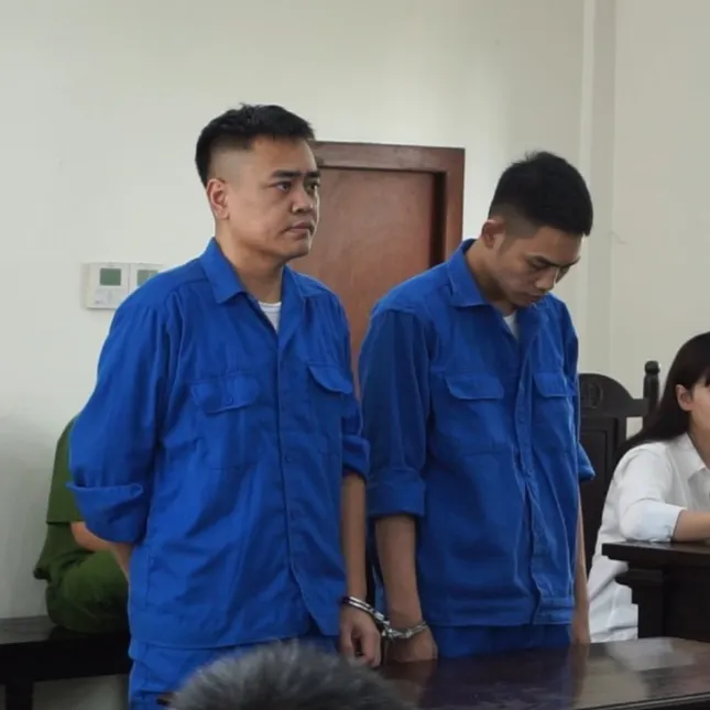 Buôn bán sừng linh dương, hai người bị phạt hơn 4 năm tù ảnh 1
