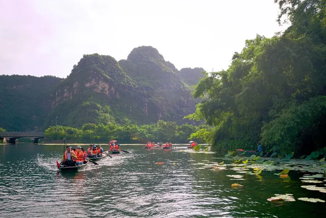 Đưa loài Voọc cực kỳ quý hiếm trở lại Tràng An ảnh 1
