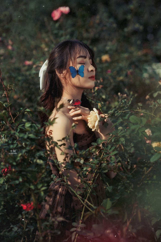 Nữ sinh Bách khoa hóa công chúa mơ màng giữa rừng hoa ảnh 2