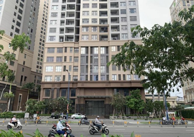 Hơn 71.000 nhà đất ở TPHCM được gỡ vướng để cấp sổ hồng ảnh 1