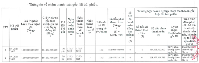 Động thái mới của con trai Chủ tịch Novaland ảnh 2