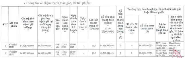 Động thái mới của con trai Chủ tịch Novaland ảnh 3