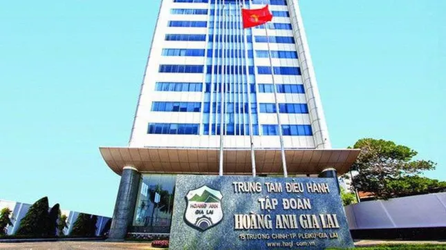 Bầu Đức nói về khoản thu nhập bất thường ngàn tỷ của Hoàng Anh Gia Lai ảnh 1
