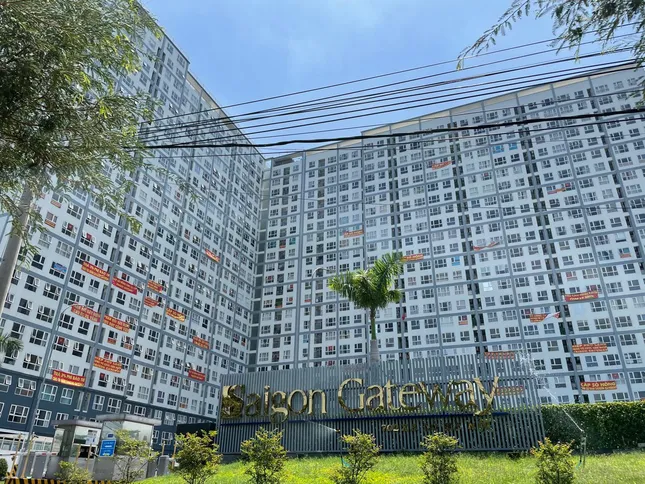 TPHCM tiếp tục gỡ vướng sổ hồng nhiều dự án ảnh 1