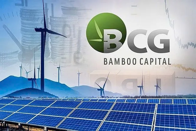 Bamboo Capital bổ nhiệm làm người phụ trách quản trị 30 tuổi ảnh 1