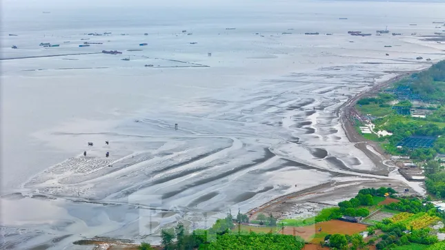 Lộ diện 'siêu' đô thị lấn biển Cần Giờ ảnh 13